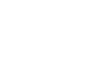 logo grupo diniz